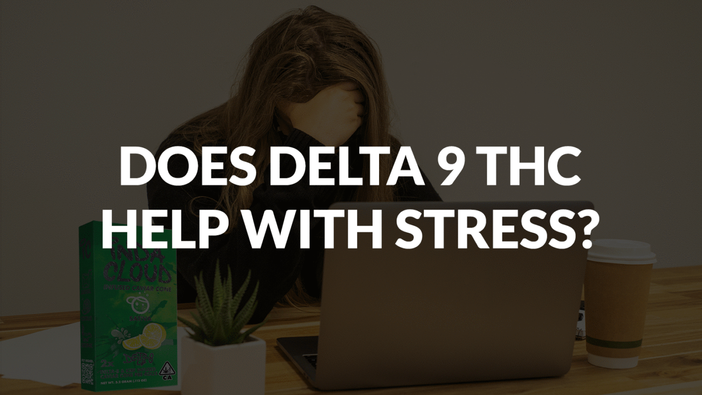 Does Delta 9 Thc Help With Stress? 5 Does Delta 9 Thc Help With Stress?