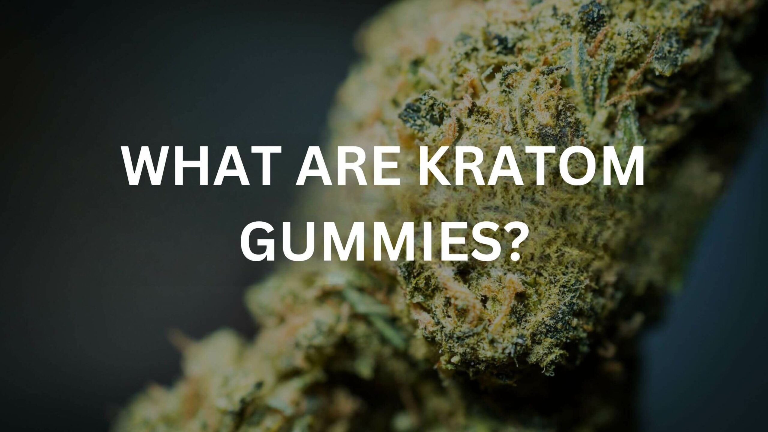 What Are Kratom Gummies? 12 Kratom Gummies