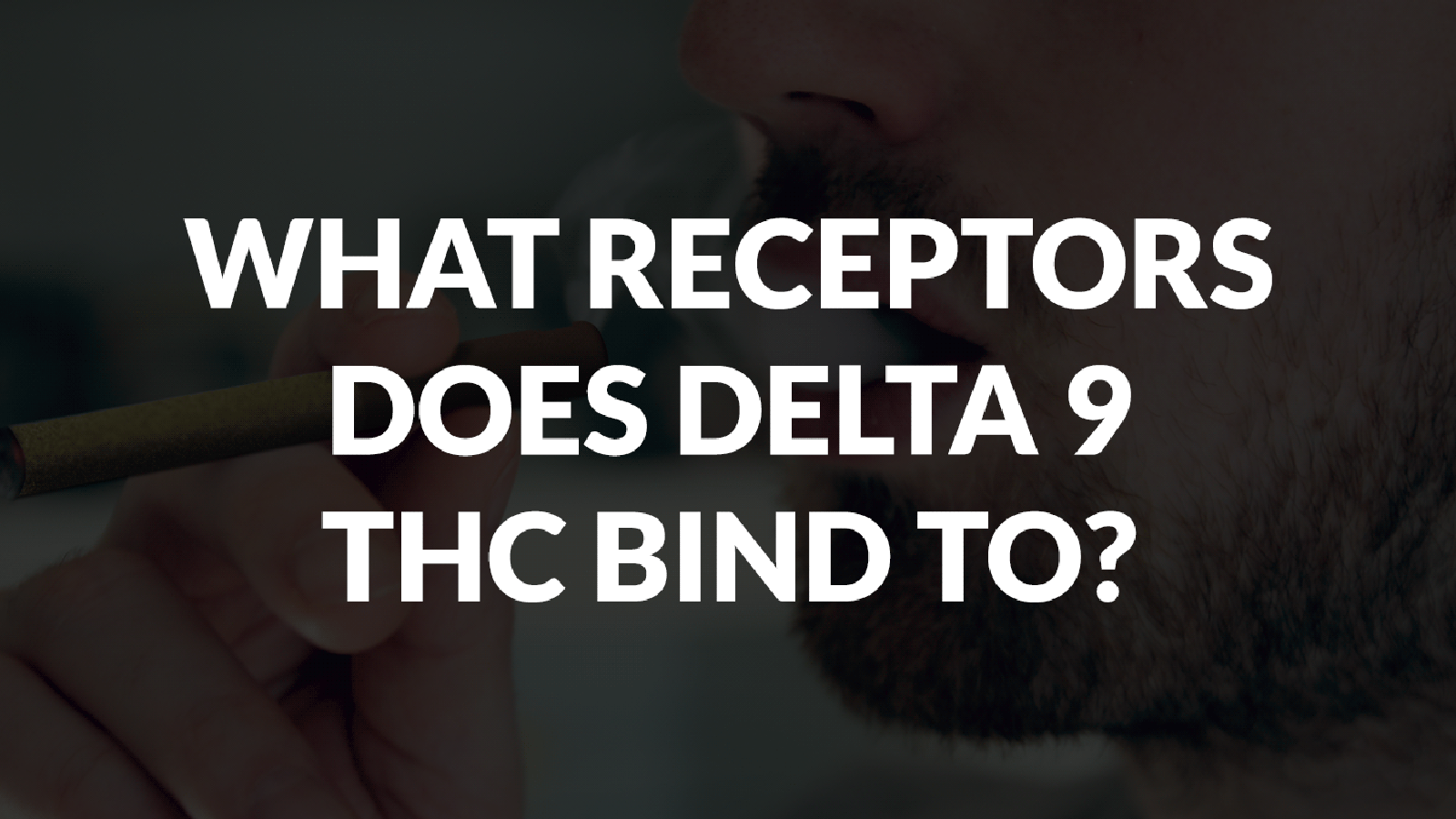 What Receptors Does Delta 9 Thc Bind To? 8 What Receptors Does Delta 9 Thc Bind To?