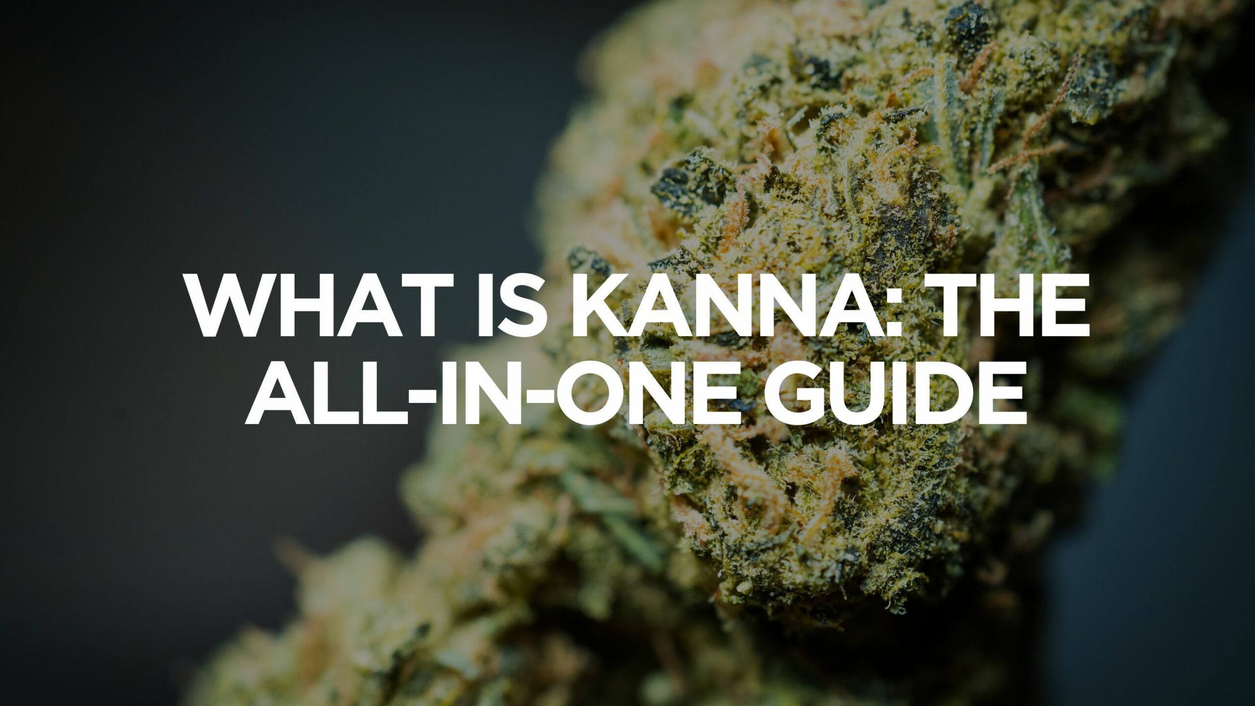 What Is Kanna: The All-In-One Guide 7 What Is Kanna?