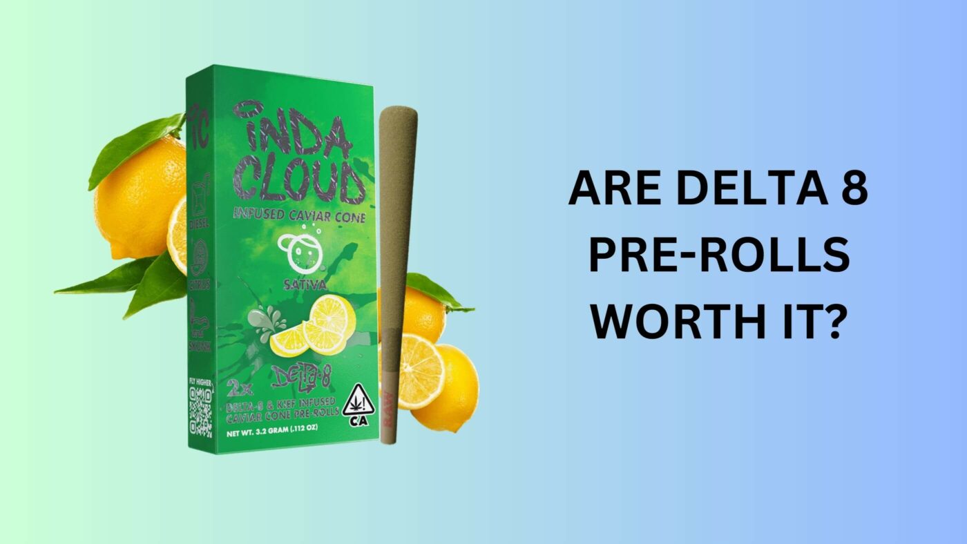 Are Delta 8 Pre-Rolls Worth It? 4 Delta 8 Pre-Rolls Worth