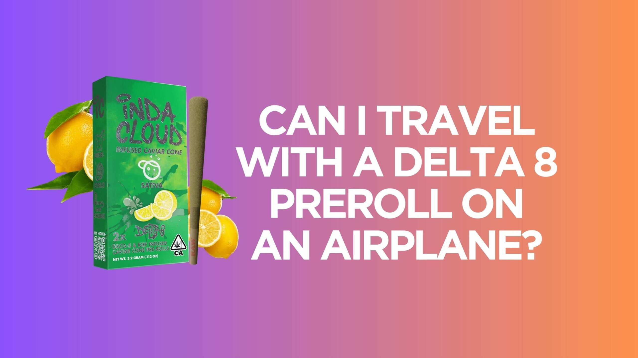Can I Travel With A Delta 8 Preroll On An Airplane? 5 Can I Travel With A Delta 8 Preroll On An Airplane (2) (1)