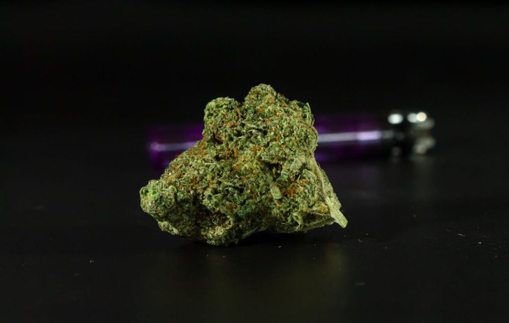 Forbidden Fruit Strain Highlight 5 Forbidden Fruit Strain