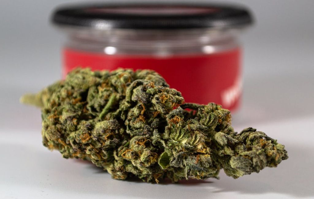 Gelato 41 Strain: A Premium Cannabis Experience 6 Gelato 41 Strain