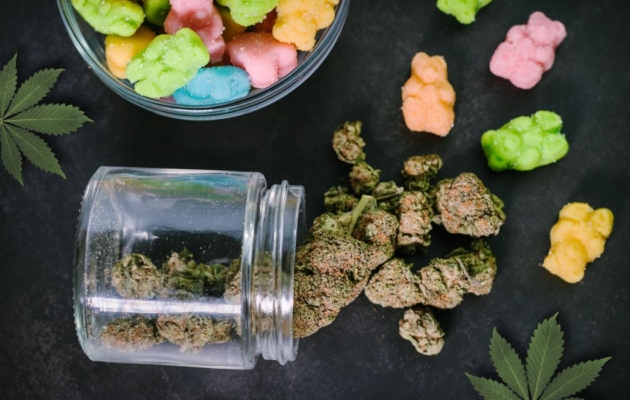 Exploring Thca Gummies 2 Thc-A Gummies Vs Thc-A Flower