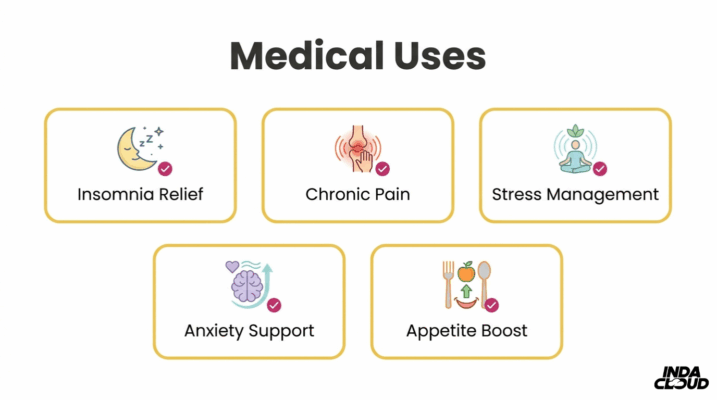 Aurora Indica Strain: Review, Effects &Amp; Origins 4 Aurora Indica Medical Uses Infographic Showing Insomnia Relief, Chronic Pain Support, Stress Management, Anxiety Support, And Appetite Boost