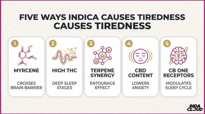 Does Indica Make You Tired? Here Are 5 Reasons For Its Effects 2 Five Ways Indica Causes Tiredness Including Myrcene, High Thc, Terpene Synergy, Cbd Content, And Cb1 Receptors