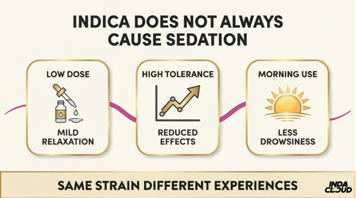 Does Indica Make You Tired? Here Are 5 Reasons For Its Effects 4 Indica Does Not Always Cause Sedation Chart Showing Low Dose, High Tolerance, And Morning Use Can Reduce Drowsiness