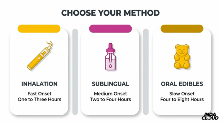 What Is Thc? Complete Guide To Types, Effects, Products, Potency, Safety, And Legality 2 Thc Consumption Methods Comparison Showing Inhalation, Sublingual Use, And Oral Edibles With Onset Times And Duration